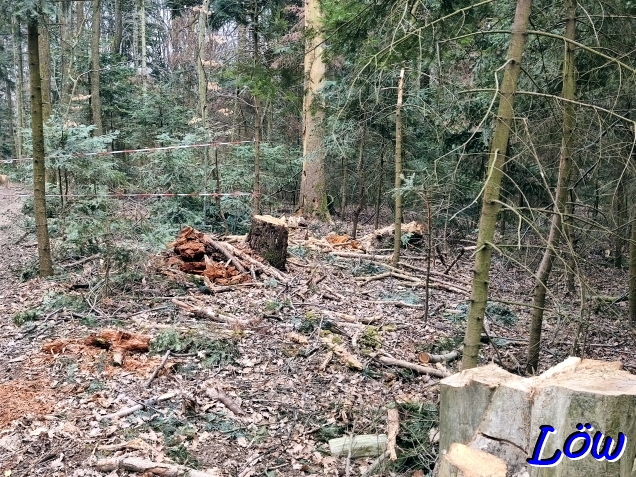 3.2026 - Der trauige Rest